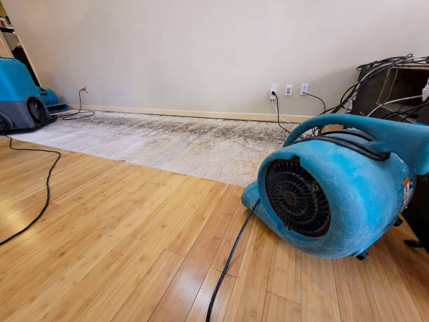 Professional Water Damage Repair technician working in Ashford, WV